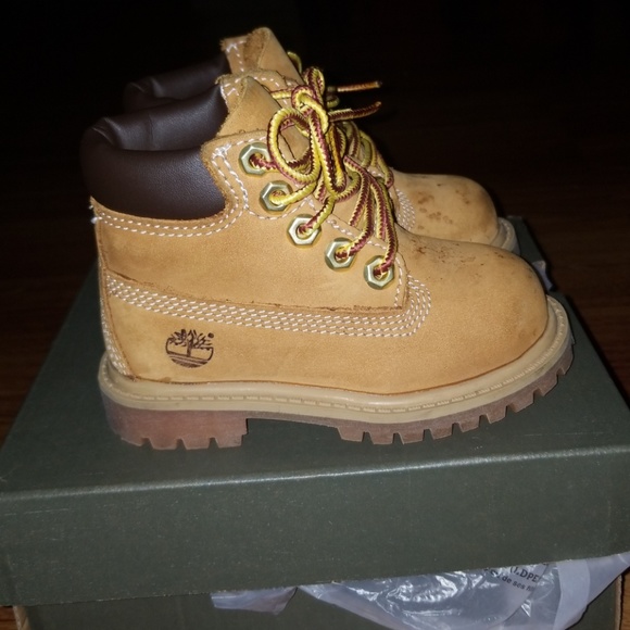 Timberlands - Picture 2 of 3